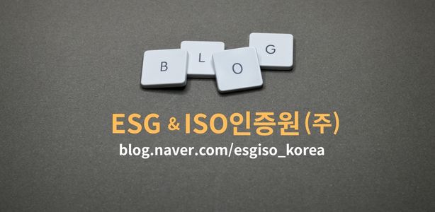 blog.naver.comesgiso korea (2)